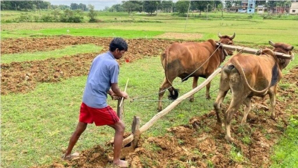 Jharkhand Kisan Karj Mafi Yojana